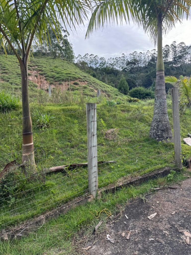 WhatsApp Image 2025-04-27 at 13.28.57 (9)